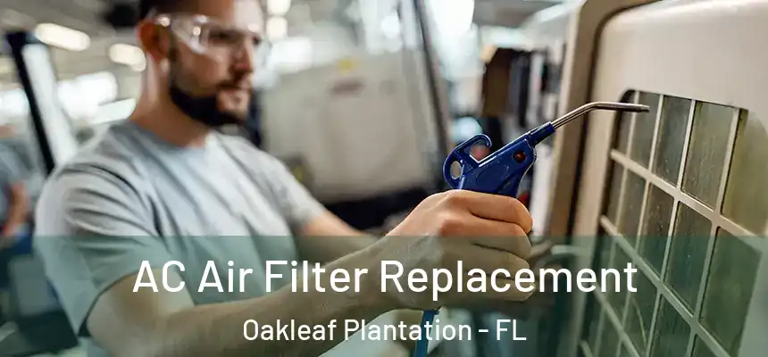 AC Air Filter Replacement Oakleaf Plantation - FL