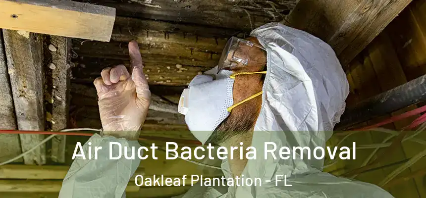 Air Duct Bacteria Removal Oakleaf Plantation - FL