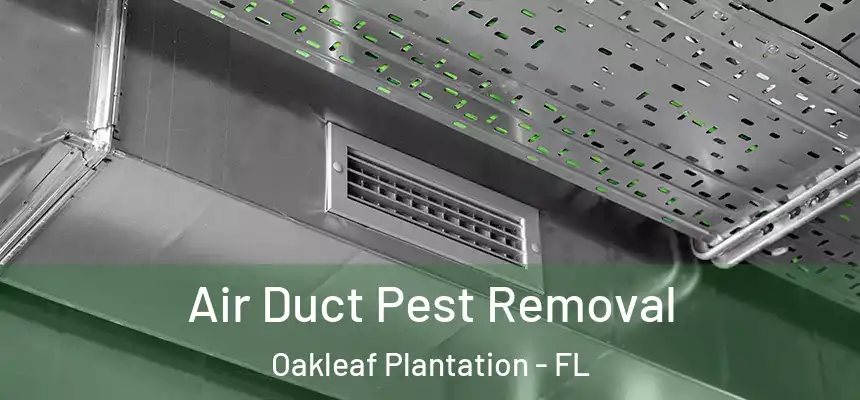 Air Duct Pest Removal Oakleaf Plantation - FL