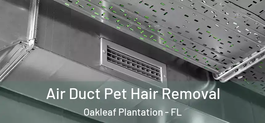 Air Duct Pet Hair Removal Oakleaf Plantation - FL