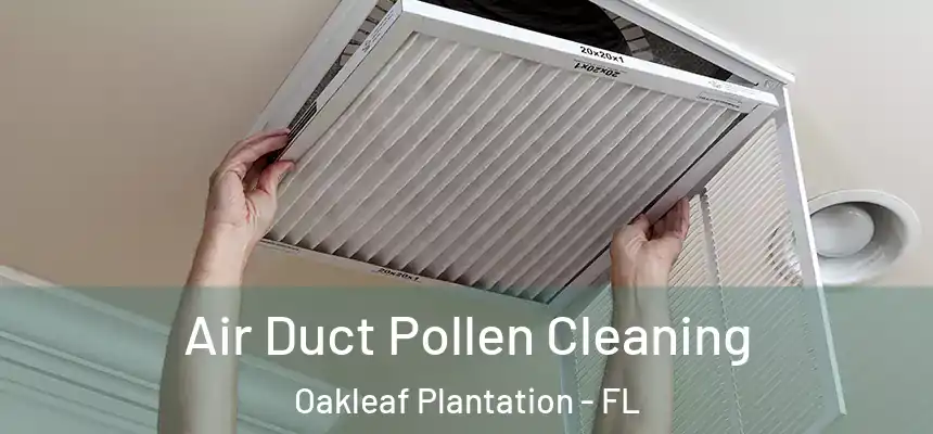 Air Duct Pollen Cleaning Oakleaf Plantation - FL
