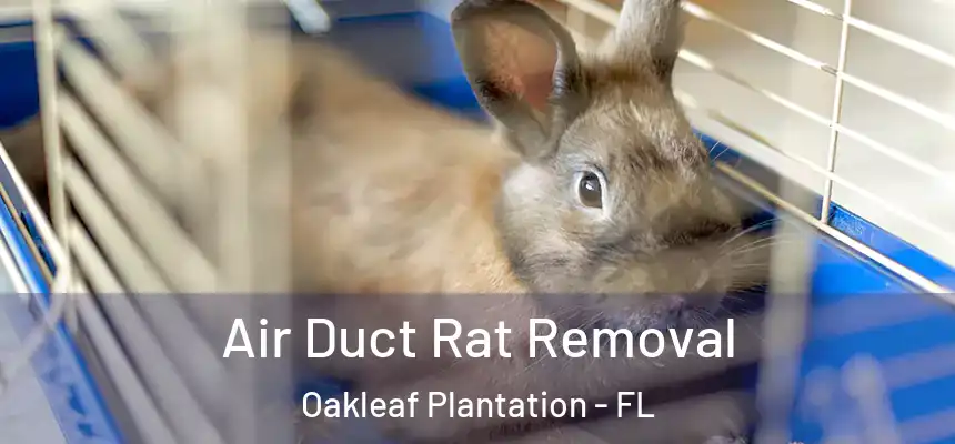 Air Duct Rat Removal Oakleaf Plantation - FL