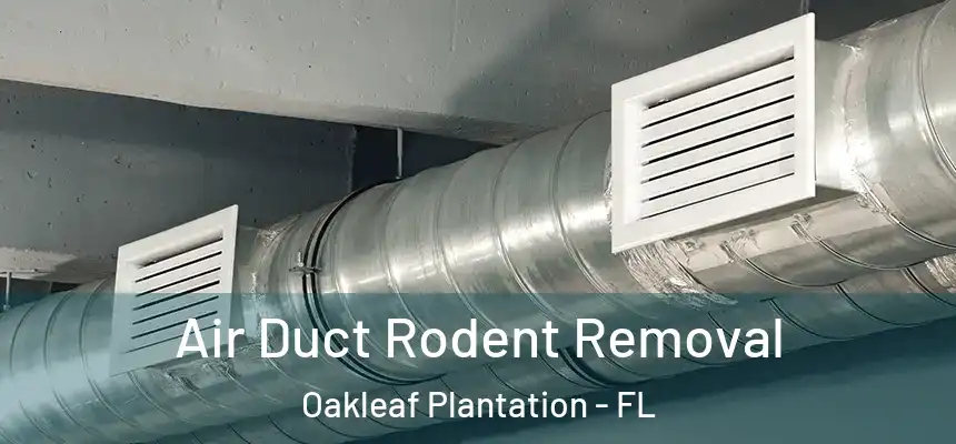 Air Duct Rodent Removal Oakleaf Plantation - FL