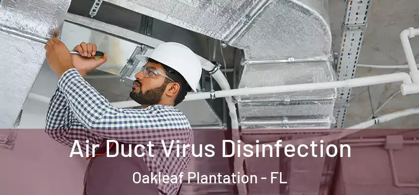 Air Duct Virus Disinfection Oakleaf Plantation - FL