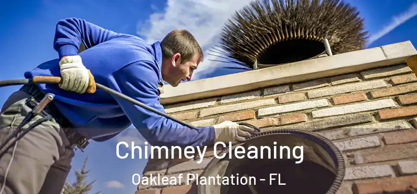 Chimney Cleaning Oakleaf Plantation - FL