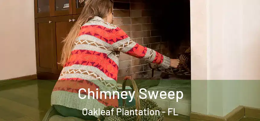 Chimney Sweep Oakleaf Plantation - FL