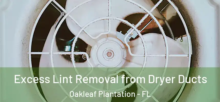 Excess Lint Removal from Dryer Ducts Oakleaf Plantation - FL