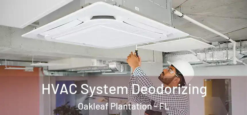HVAC System Deodorizing Oakleaf Plantation - FL