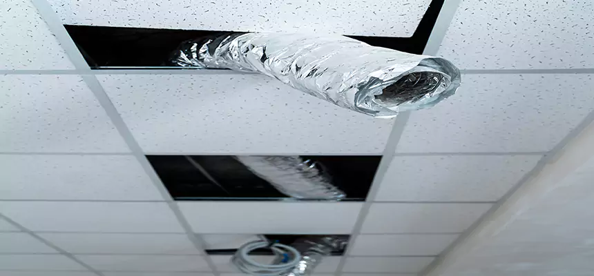 Our Air Duct Pet Hair Removal Services in Oakleaf Plantation, FL