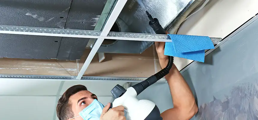 Our Air Duct Rodent Removal Services in Oakleaf Plantation, FL