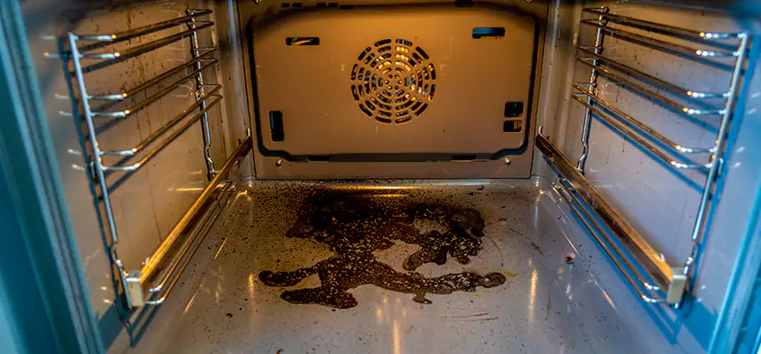 Our Air Purifier Installation Services in Oakleaf Plantation, FL