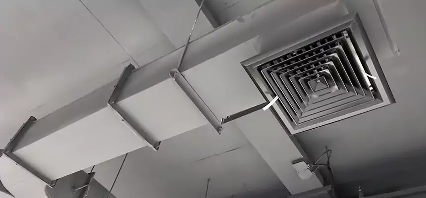 Restorative Allergy Relief Vent Cleaning – Coil, Blower & Housing Detail in Oakleaf Plantation