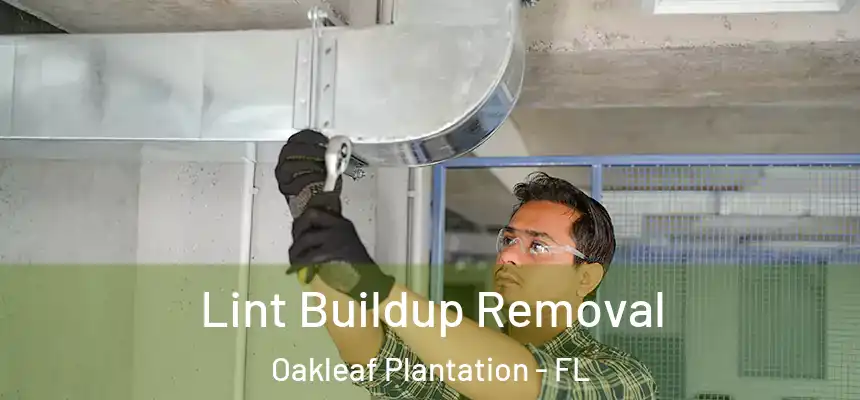 Lint Buildup Removal Oakleaf Plantation - FL