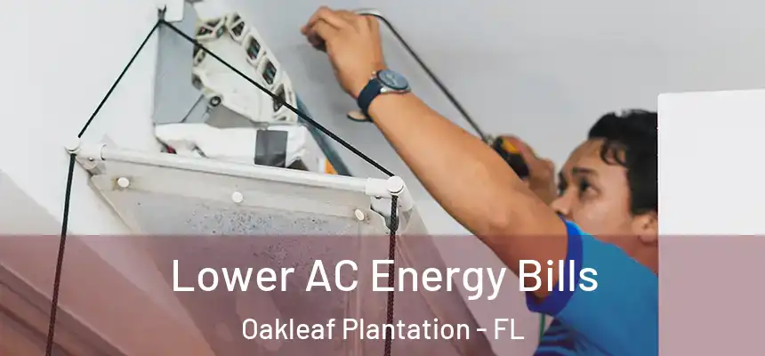 Lower AC Energy Bills Oakleaf Plantation - FL
