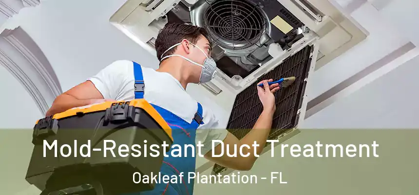 Mold-Resistant Duct Treatment Oakleaf Plantation - FL
