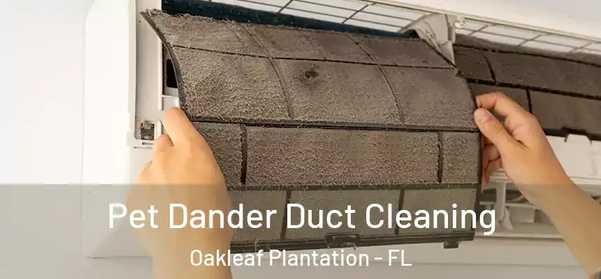 Pet Dander Duct Cleaning Oakleaf Plantation - FL