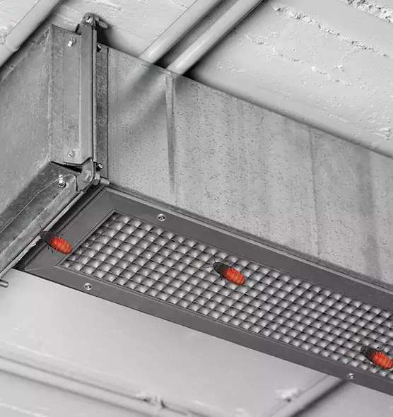 About Air Duct Cockroach Removal in Oakleaf Plantation, FL