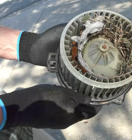 About Air Duct Mice Removal in Oakleaf Plantation, FL