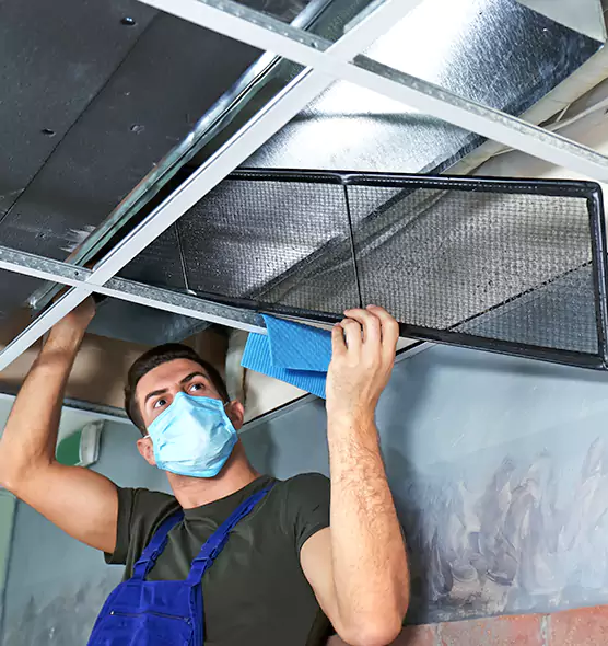 Professional Air Duct Pollen Cleaning in Oakleaf Plantation, FL
