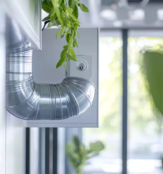 Professional Eco-Safe Dryer Vent Cleaning in Oakleaf Plantation, FL