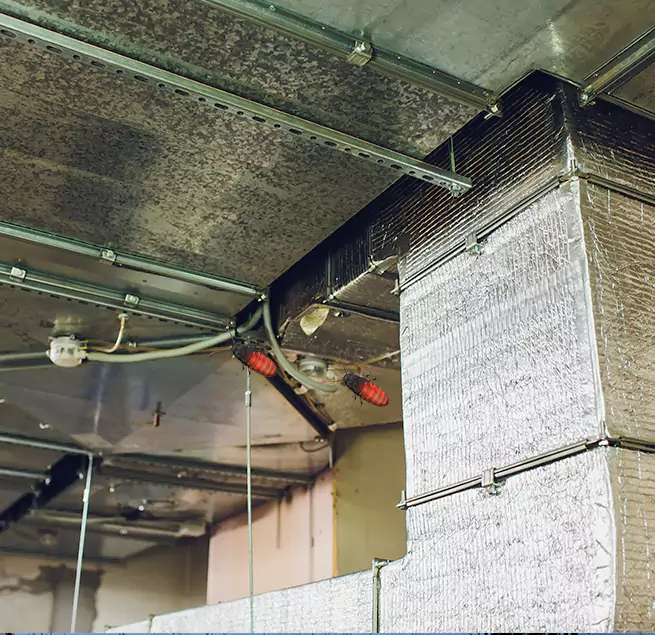 Why Homeowners & Businesses Trust Us in Oakleaf Plantation, FL?