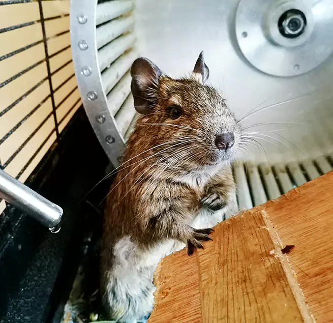 Why Homeowners & Businesses Trust Us Oakleaf Plantation, FL?