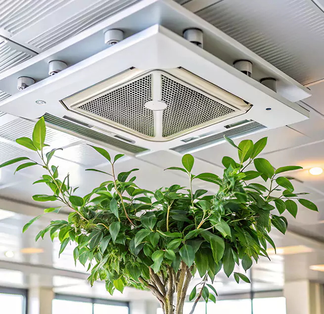 Why Homeowners & Businesses Trust Us in Oakleaf Plantation, FL