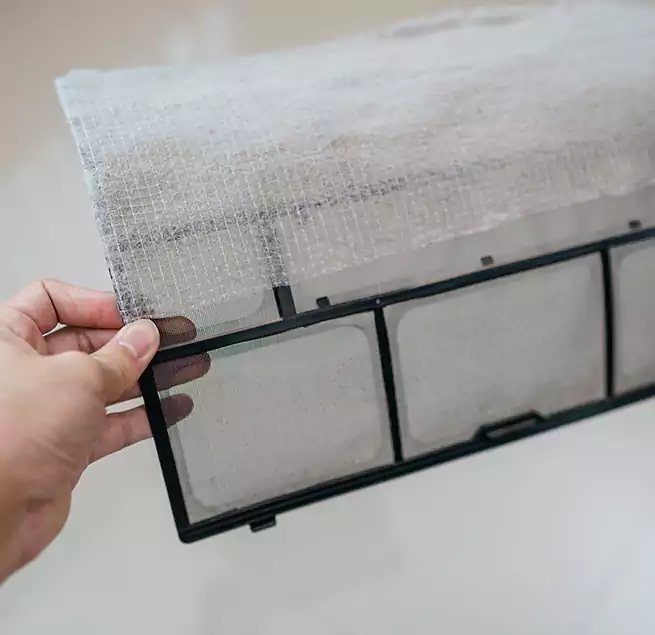 Why Homeowners & Businesses Trust Us in Oakleaf Plantation, FL?