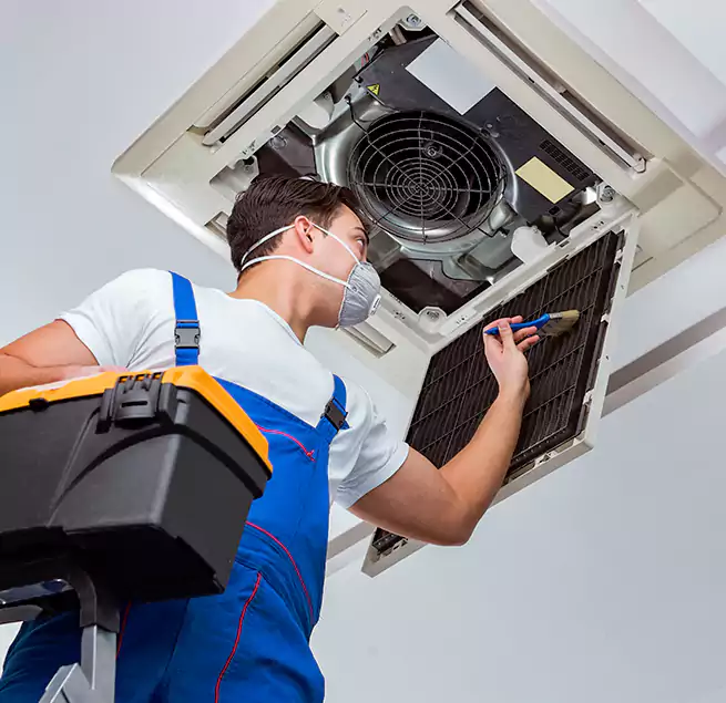 Why Homeowners & Businesses Trust Us in Oakleaf Plantation, FL?